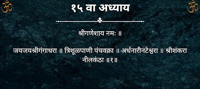 श्रीशिवलीलामृत स्क्रीनशॉट 7