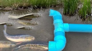 Best Fish Trap-poster