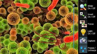 Microscope Microbe syot layar 4