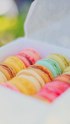 Macaron Wallpaper ภาพหน้าจอ 3