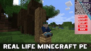 Real Life Mod for Minecraft পোস্টার