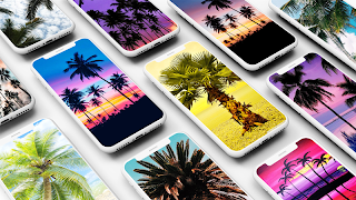 Palm Tree Wallpapers الملصق