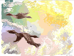Drawsum.com captura de pantalla 2