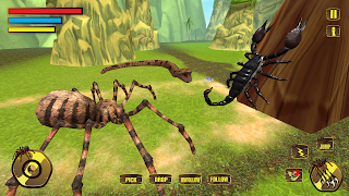 Wild Spider Tarantula Insect 截圖 4