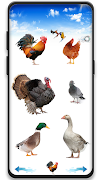 Bird sounds screenshot 7