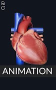 Circulatory System Anatomy 截圖 7