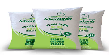 Silverlands Ekran Görüntüsü 1