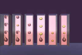 3D Sort Goods ภาพหน้าจอ 1