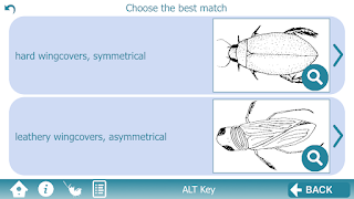 The Waterbug App screenshot 2