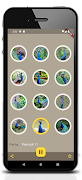 Peacock Sounds screenshot 2