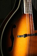 Leçons De Mandoline capture d'écran 1