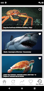 海と海の動物のドキュメンタリー スクリーンショット 6