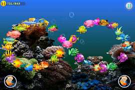 4 Schermata fish master