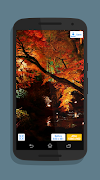 Enlarge & Correct Image скриншот 3