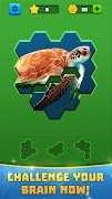 برنامه‌نما Hex Block Jigsaw Puzzle عکس از صفحه