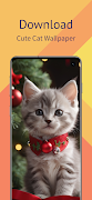 Cute Cat Wallpaper HD تصوير الشاشة 1