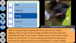 Crow Scientist 截图 3