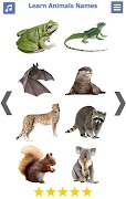 برنامه‌نما Learn Animals Names & Sounds عکس از صفحه