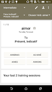 Learn And Master French Verbs  screenshot 3
