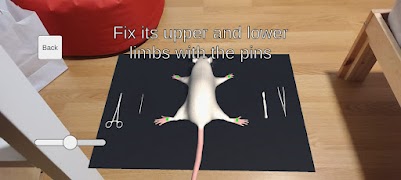 Mouse Dissection AR স্ক্রিনশট 2