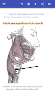 Muscular system screenshot 2