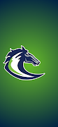 Mill Creek Mavericks poster
