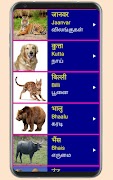 Learn Hindi from Tamil Screenshot 4