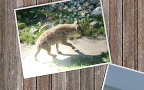 Slideshow 5000 Pro 截圖 6