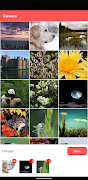 Collage Craft screenshot 2