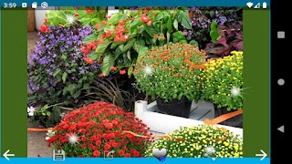 Hoa đẹp. ảnh chụp màn hình 1