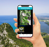 Insect Identification постер