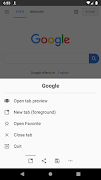 Browser screenshot 1