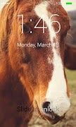 برنامه‌نما Horses Lock Screen عکس از صفحه