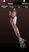 برنامه‌نما Muscular System 3D (anatomy) عکس از صفحه
