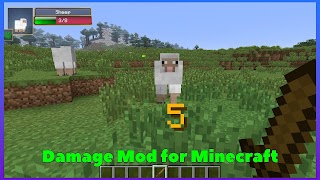 Damage Indicator Mod Minecraft-poster