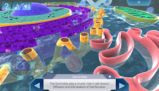 Cell World скриншот 2