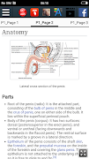 Human Penis : Educational App screenshot 3