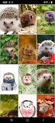 Hedgehog Wallpapers স্ক্রিনশট 3