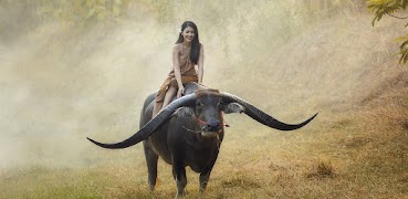 Buffalo Sounds Screenshot 1