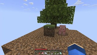 One Block Map for Minecraft screenshot 7