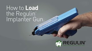 Regulin स्क्रीनशॉट 2