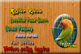 MP3 Lovebird Paud Offline 海报