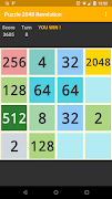 Puzzle 2000 and 48 Revolution screenshot 2