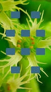 Sounds Memory screenshot 6