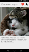Красивые статусы poster