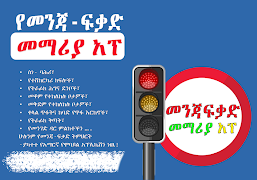 Driving Lesson Amharic ảnh chụp màn hình 5