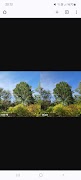 HDR+ Camera Ports Downloader اسکرین شاٹ 3