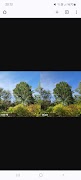 HDR+ Camera Ports Downloader স্ক্রিনশট 3