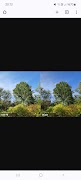 HDR+ Camera Ports Downloader スクリーンショット 3