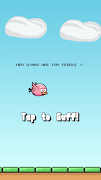 Botty Bird ภาพหน้าจอ 2
